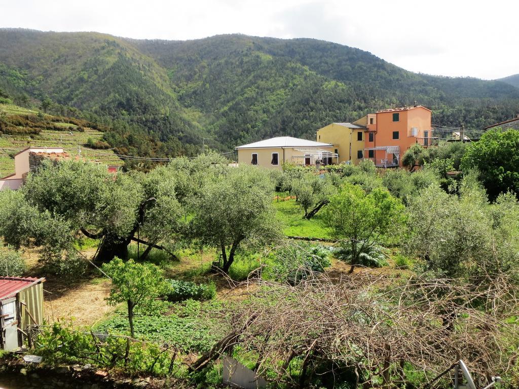 Creuza De 5 Terre Villa Volastra Bagian luar foto